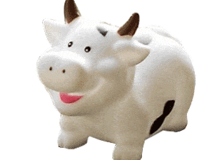 Smiling Cow SQUIRT Toy