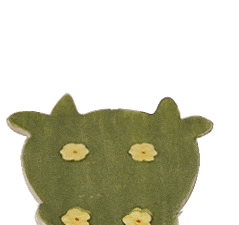 Cow Pasture Salt Pepper